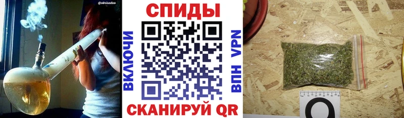 БУТИРАТ BDO 33% цены Гатчина