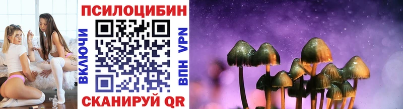 Псилоцибиновые грибы мицелий  как найти   Гатчина 